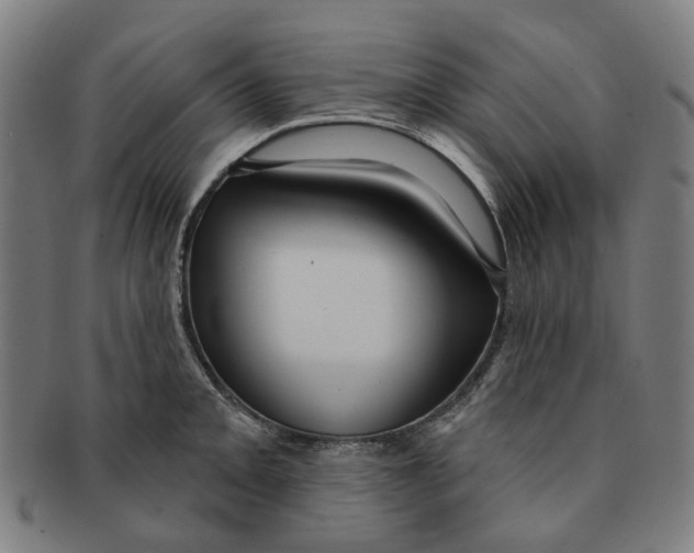 X0000090981093200708301243
