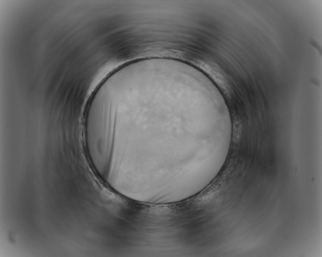 X0000090981094200708301243