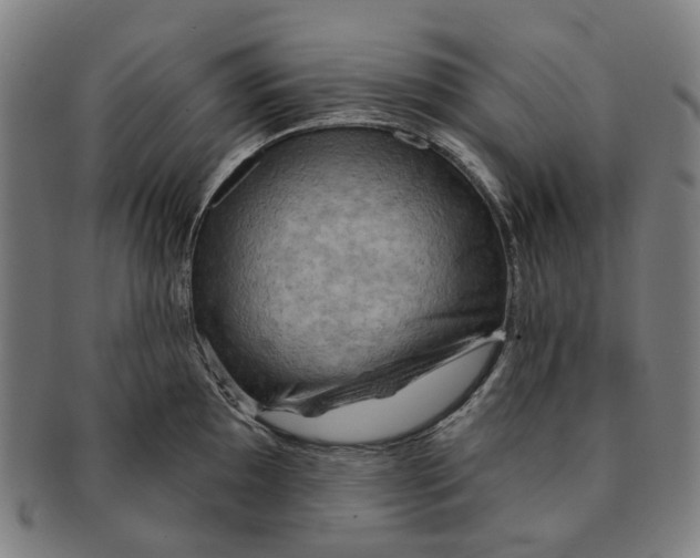 X0000090981097200708301243
