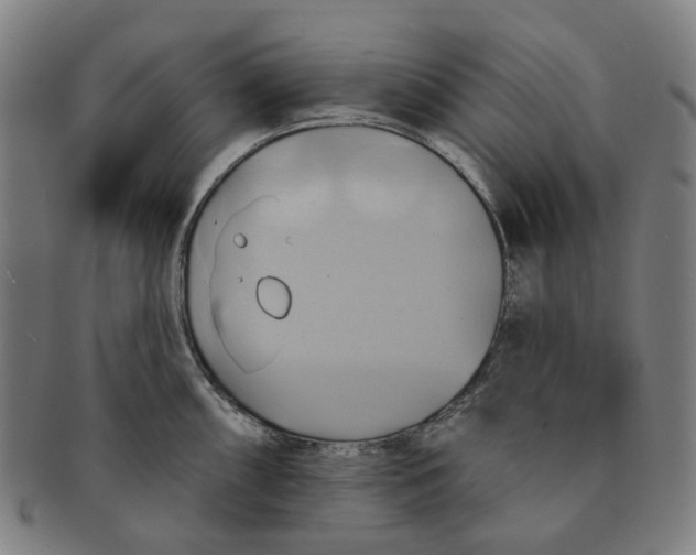 X0000090981098200708301243