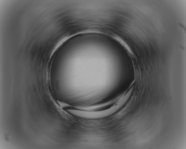 X0000090981101200708301243