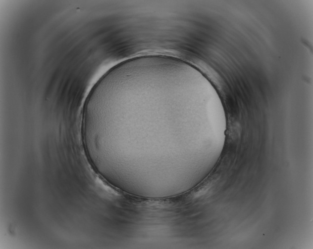 X0000090981102200708301243