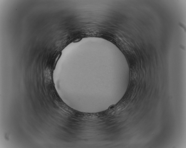 X0000090981106200708301242