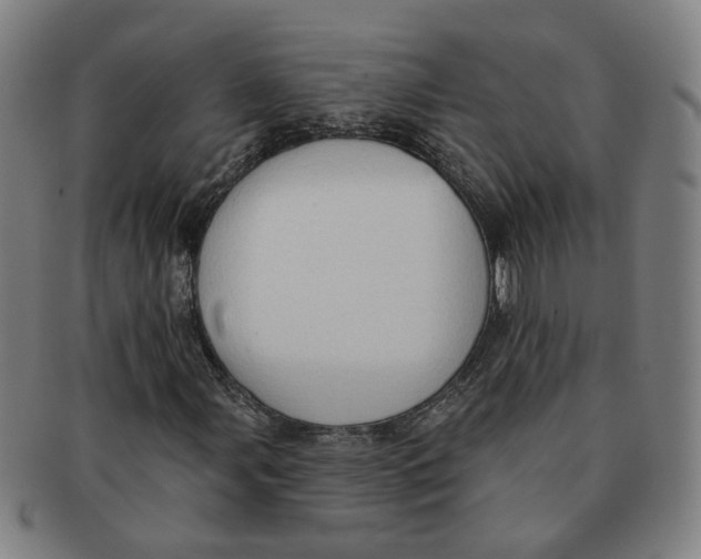X0000090981107200708301242