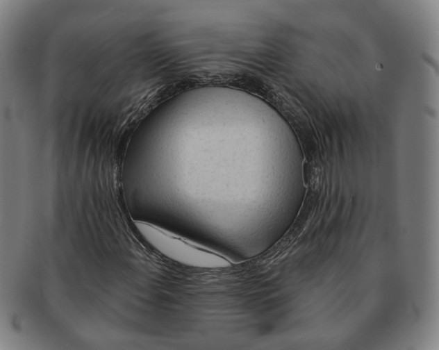 X0000090981108200708301242