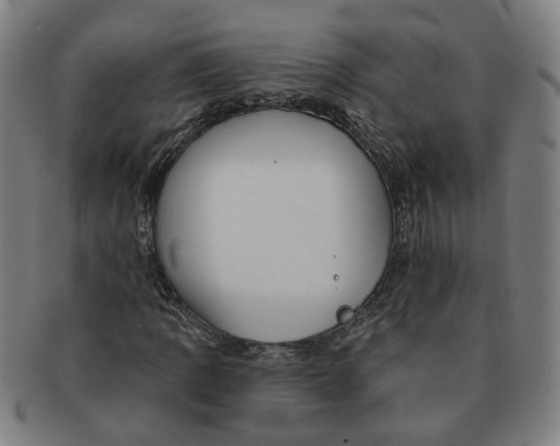 X0000090981109200708301242