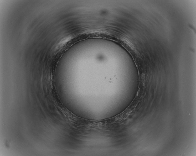 X0000090981111200708301242