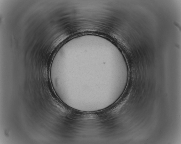 X0000090981113200708301242