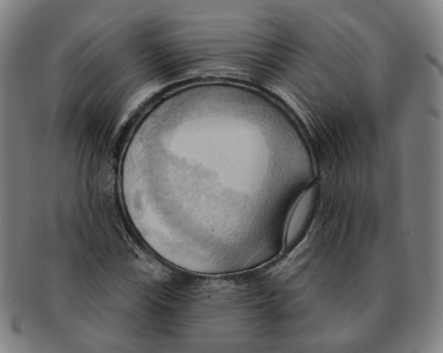 X0000090981115200708301242
