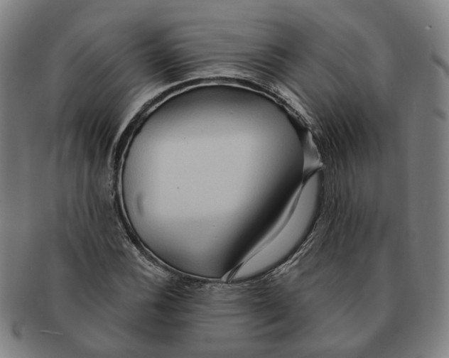 X0000090981116200708301242