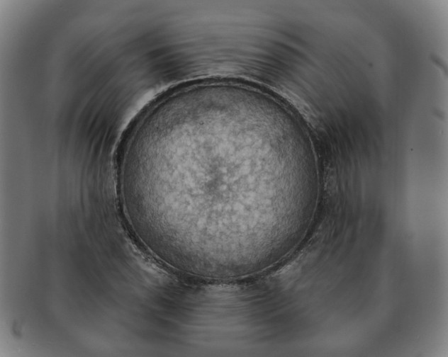X0000090981118200708301243
