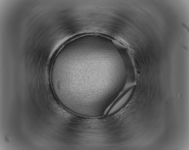 X0000090981120200708301243