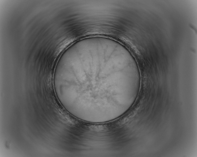 X0000090981121200708301243