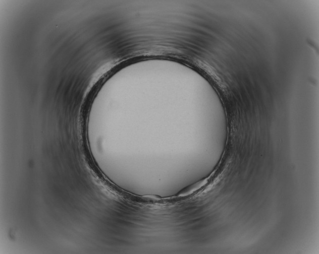X0000090981122200708301243