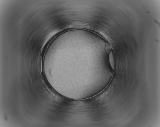 X0000090981123200708301243