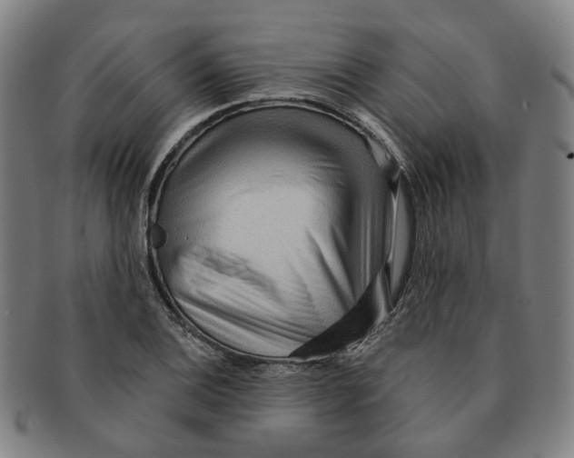 X0000090981124200708301243