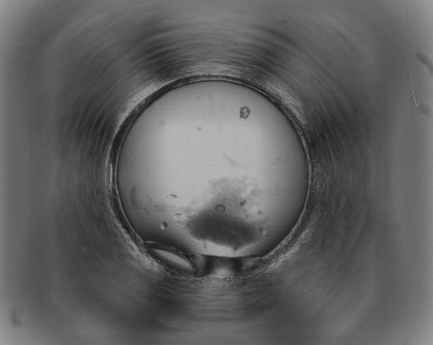 X0000090981125200708301243