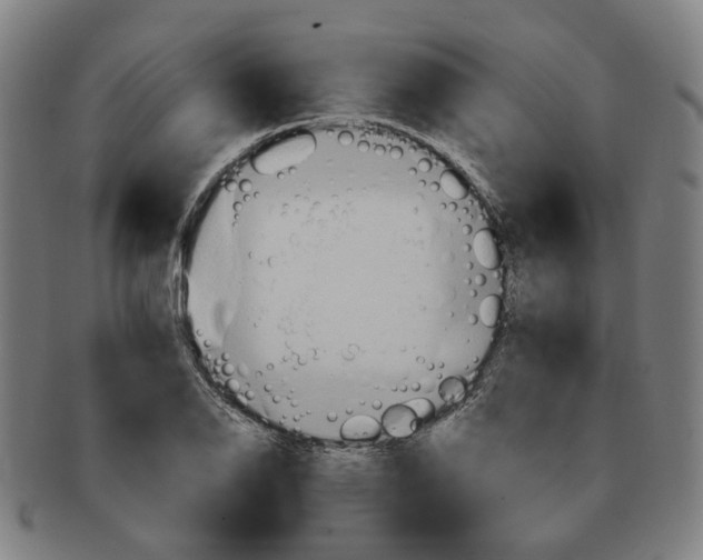 X0000090981126200708301243
