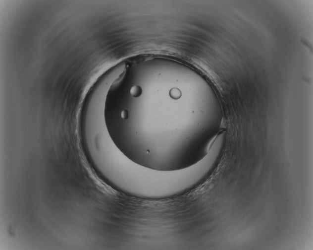 X0000090981128200708301243
