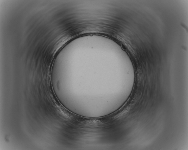 X0000090981129200708301243