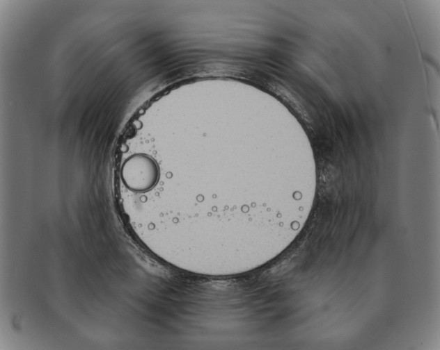 X0000090981130200708301243