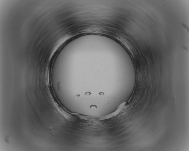 X0000090981131200708301243