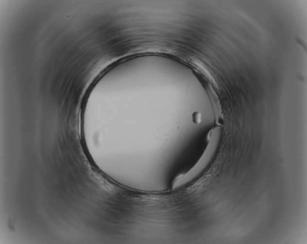X0000090981132200708301243