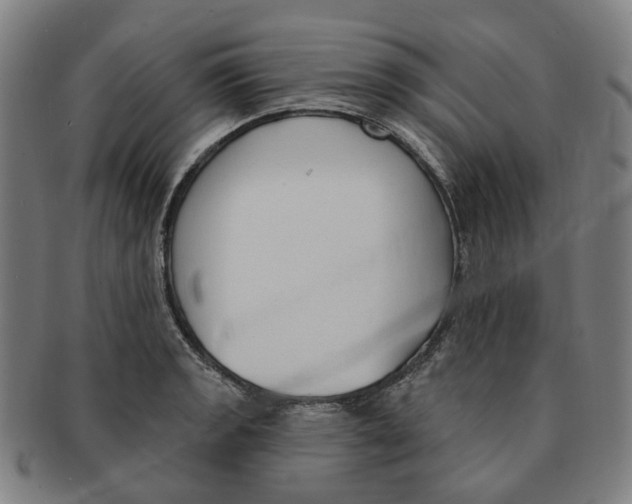 X0000090981133200708301243