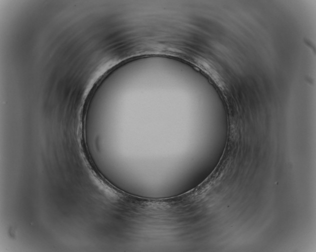 X0000090981136200708301243