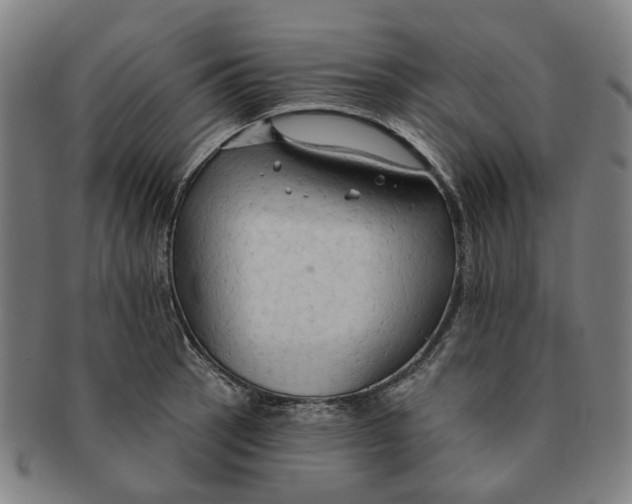 X0000090981137200708301243