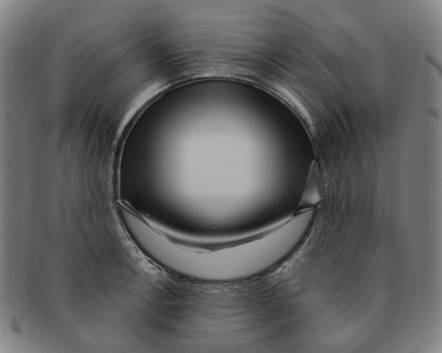X0000090981138200708301243