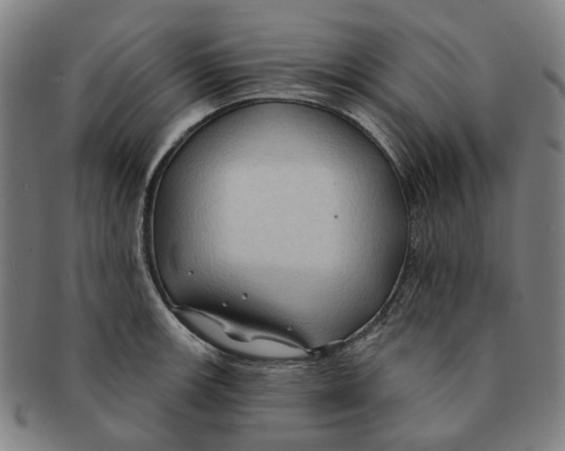 X0000090981139200708301243