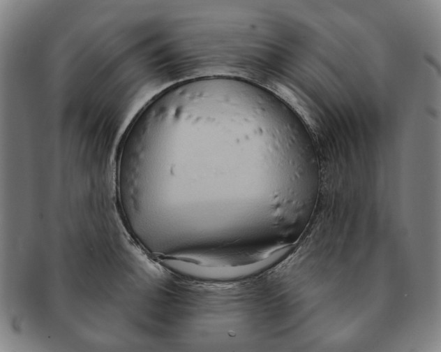 X0000090981140200708301243