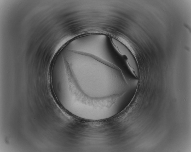 X0000090981141200708301243