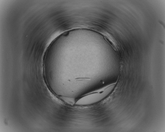 X0000090981143200708301243