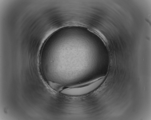 X0000090981144200708301243
