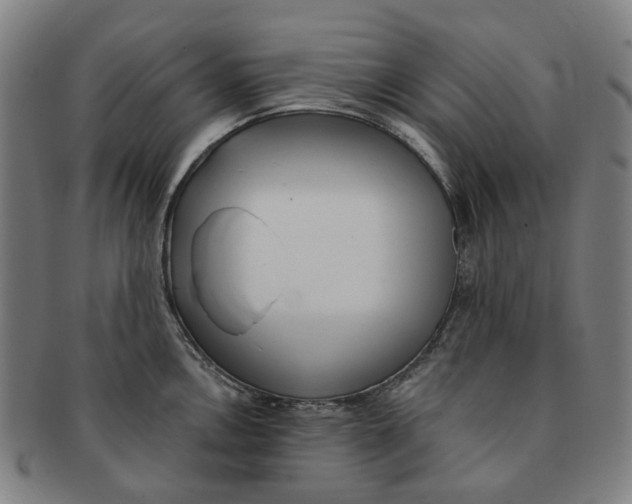 X0000090981146200708301243