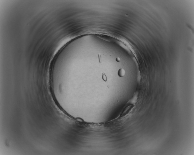 X0000090981147200708301243