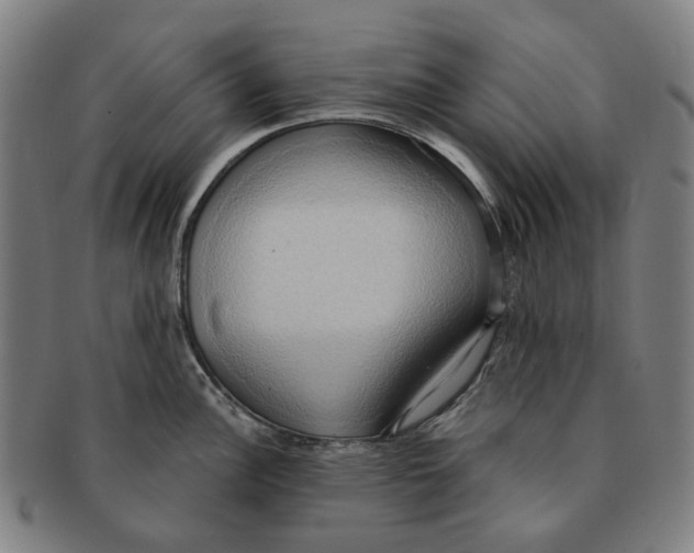 X0000090981148200708301243