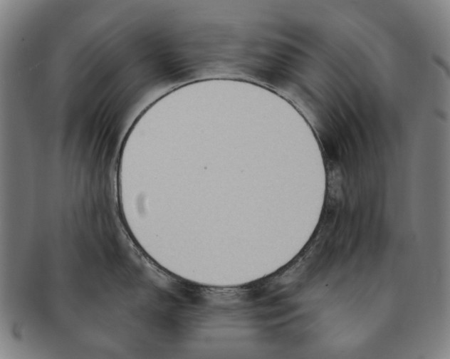 X0000090981150200708301243