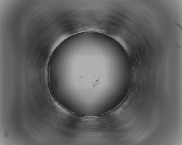 X0000090981151200708301243