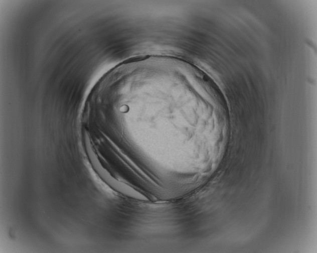 X0000090981152200708301243