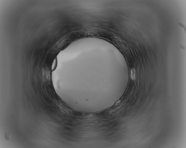 X0000090981155200708301242