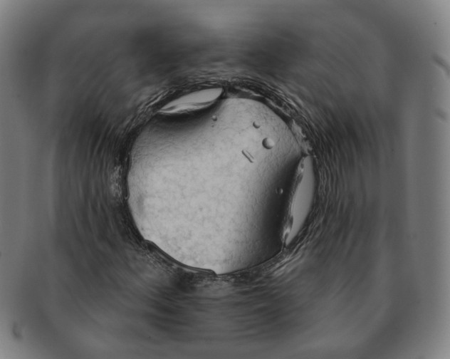 X0000090981156200708301242