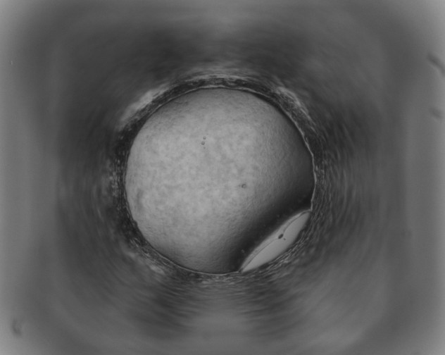 X0000090981159200708301242