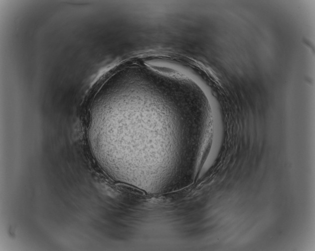 X0000090981160200708301242