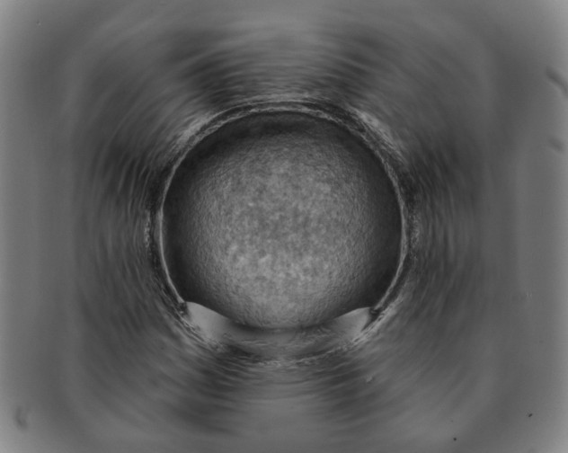 X0000090981161200708301242