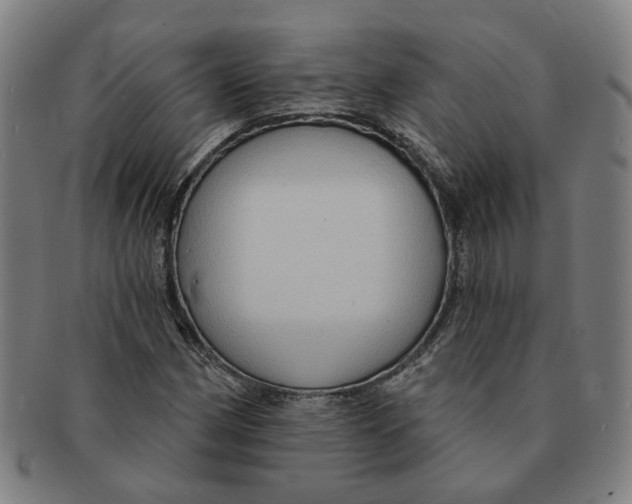 X0000090981162200708301242