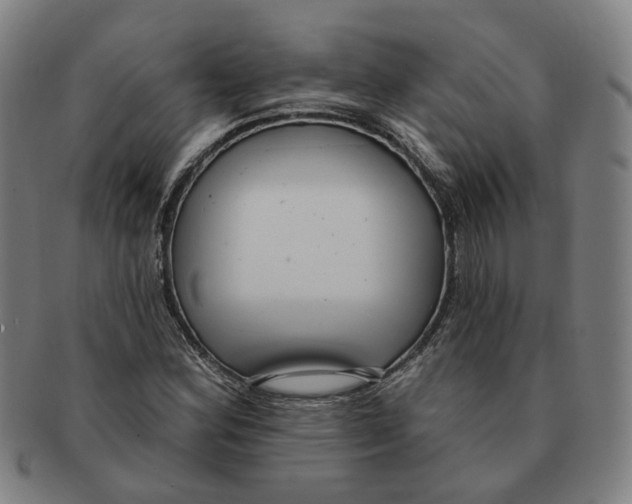 X0000090981164200708301242