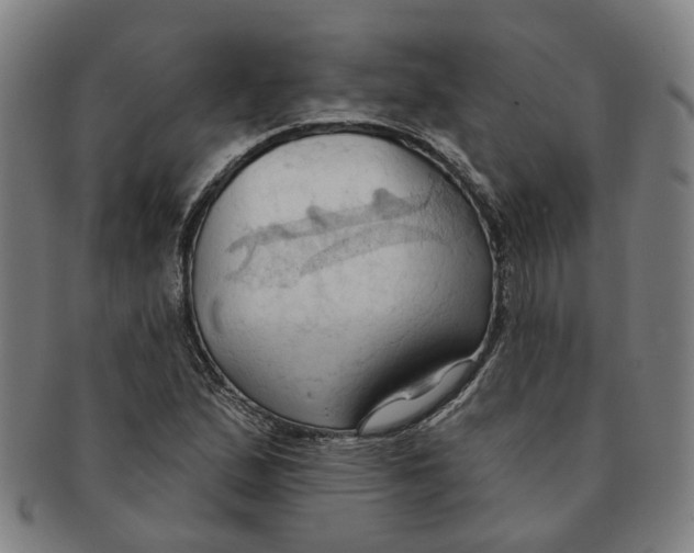 X0000090981167200708301242